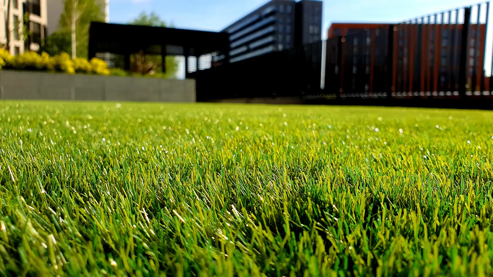 A freshly mown lawn
